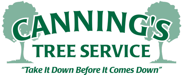 Canning's Tree Removal Service